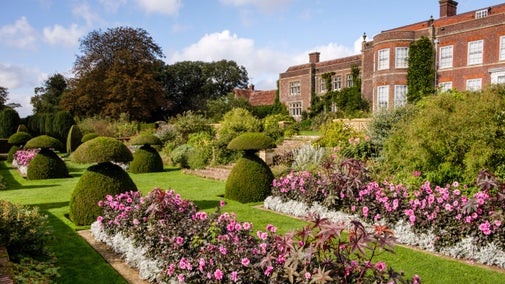 Pink dahlias flower in two flowerbeds in The Sunken Garden at Hinton Ampner, Hampshire, with topiary trees to the left ad the house above to the right